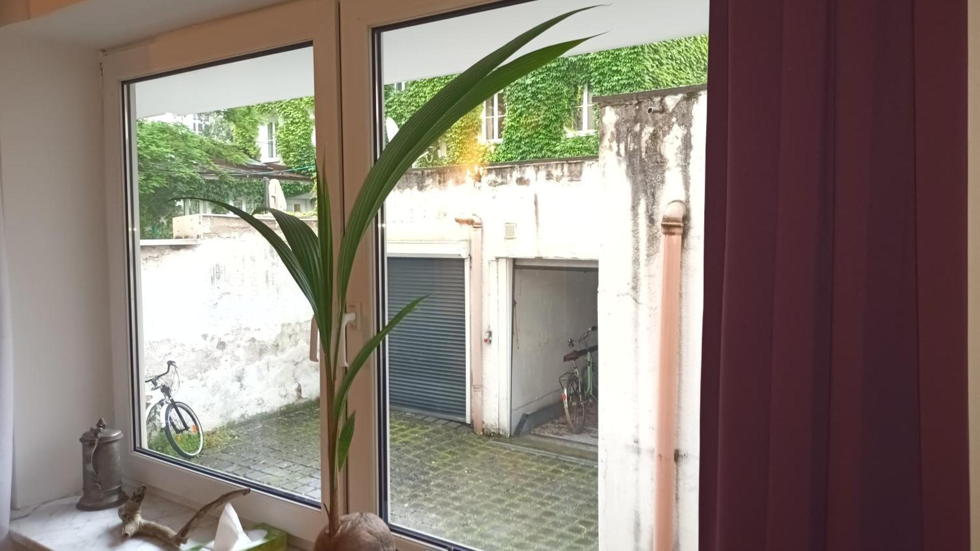 Stilvolles Appartement Im Zentralen Schwabing - Innenstadt München Ngoại thất bức ảnh